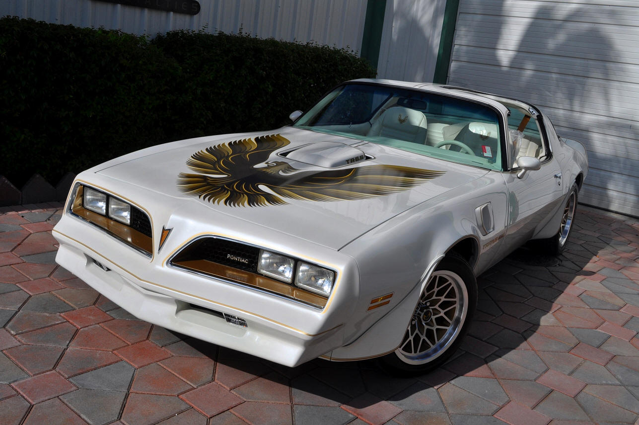 Trans Am Specialties Of Florida 